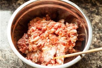 虾肉烧卖怎么做，虾肉烧卖怎么做好吃，虾肉烧卖做法