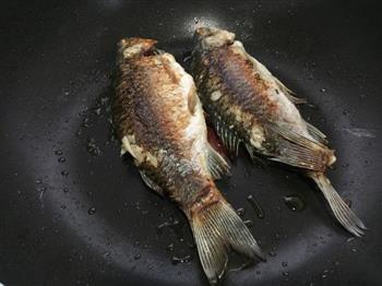 百分百奶白河鲫鱼豆腐汤怎么做，百分百奶白河鲫鱼豆腐汤怎么做好吃，百分百奶白河鲫鱼豆腐汤做法