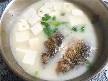 百分百奶白河鲫鱼豆腐汤怎么做，百分百奶白河鲫鱼豆腐汤怎么做好吃，百分百奶白河鲫鱼豆腐汤做法