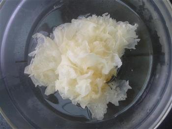 瘦肉沙参雪耳汤怎么做，瘦肉沙参雪耳汤怎么做好吃，瘦肉沙参雪耳汤做法