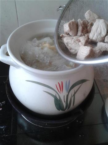 瘦肉沙参雪耳汤怎么做，瘦肉沙参雪耳汤怎么做好吃，瘦肉沙参雪耳汤做法