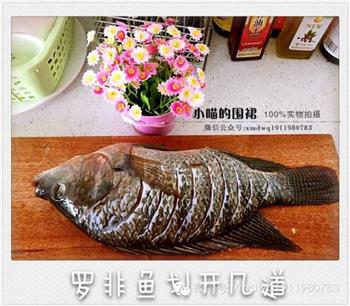 小喵麻辣烤鱼怎么做，小喵麻辣烤鱼怎么做好吃，小喵麻辣烤鱼做法
