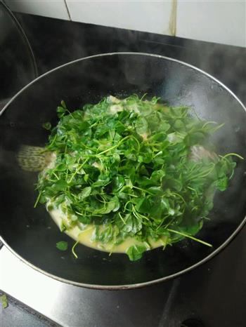 秧草桂鱼怎么做，秧草桂鱼怎么做好吃，秧草桂鱼做法
