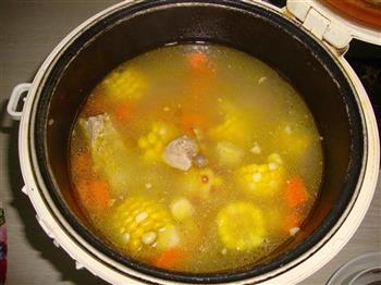 红萝卜马蹄排骨汤怎么做,红萝卜马蹄排骨汤怎么做好吃,红萝卜马蹄排骨汤做法 红萝卜马蹄排骨汤怎么做,红萝卜马蹄排骨汤怎么做好吃,红萝卜马蹄排骨汤做法