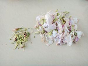 蚕豆腊肠煮白花怎么做,蚕豆腊肠煮白花怎么做好吃,蚕豆腊肠煮白花做法 蚕豆腊肠煮白花怎么做,蚕豆腊肠煮白花怎么做好吃,蚕豆腊肠煮白花做法