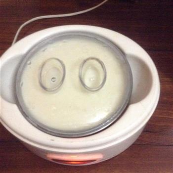 酸豆奶怎么做，酸豆奶怎么做好吃，酸豆奶做法