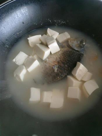 年后减脂-鲫鱼豆腐汤怎么做，年后减脂-鲫鱼豆腐汤怎么做好吃，年后减脂-鲫鱼豆腐汤做法