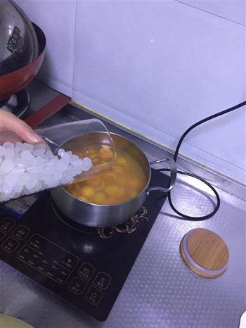 杏罐头怎么做，杏罐头怎么做好吃，杏罐头做法