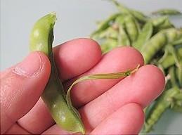 软荚豌豆怎么做，软荚豌豆怎么做好吃，软荚豌豆做法