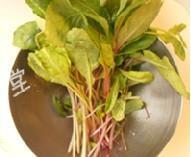 萝卜樱小豆腐怎么做，萝卜樱小豆腐怎么做好吃，萝卜樱小豆腐做法