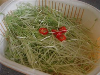 清脆豌豆苗怎么做，清脆豌豆苗怎么做好吃，清脆豌豆苗做法