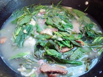 蚕豆煮枇杷叶怎么做，蚕豆煮枇杷叶怎么做好吃，蚕豆煮枇杷叶做法