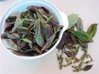 蚕豆煮枇杷叶怎么做，蚕豆煮枇杷叶怎么做好吃，蚕豆煮枇杷叶做法