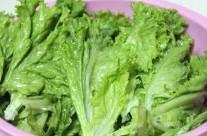 清炒生菜怎么做，清炒生菜怎么做好吃，清炒生菜做法