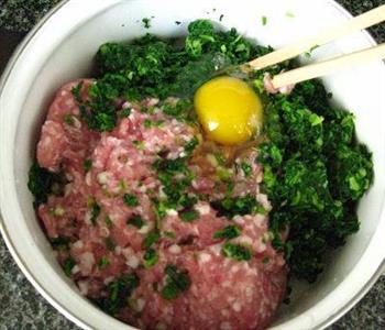 荠菜鲜肉汤团怎么做，荠菜鲜肉汤团怎么做好吃，荠菜鲜肉汤团做法