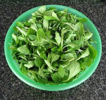 荠菜鲜肉汤团怎么做，荠菜鲜肉汤团怎么做好吃，荠菜鲜肉汤团做法