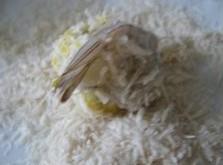 diy肯德基至Q虾球怎么做，diy肯德基至Q虾球怎么做好吃，diy肯德基至Q虾球做法