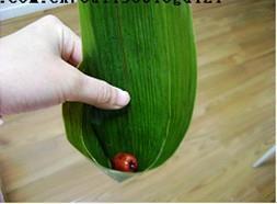 黑白米花生粽怎么做，黑白米花生粽怎么做好吃，黑白米花生粽做法