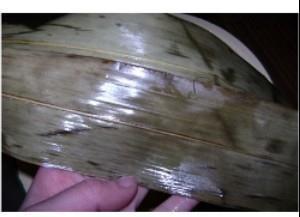 薏仁四宝粽怎么做，薏仁四宝粽怎么做好吃，薏仁四宝粽做法