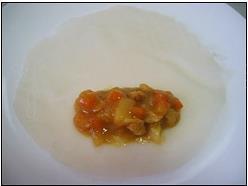 脆皮咖喱猪肉卷怎么做，脆皮咖喱猪肉卷怎么做好吃，脆皮咖喱猪肉卷做法