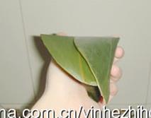 大枣凉粽怎么做，大枣凉粽怎么做好吃，大枣凉粽做法