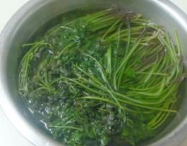 山野菜包子怎么做，山野菜包子怎么做好吃，山野菜包子做法