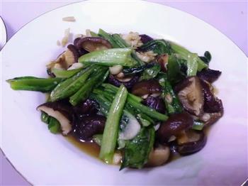油麦香菇怎么做，油麦香菇怎么做好吃，油麦香菇做法