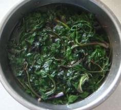 原生态野菜水煎饺怎么做，原生态野菜水煎饺怎么做好吃，原生态野菜水煎饺做法