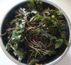 原生态野菜水煎饺怎么做，原生态野菜水煎饺怎么做好吃，原生态野菜水煎饺做法