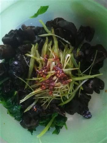 炝拌木耳穿心莲怎么做，炝拌木耳穿心莲怎么做好吃，炝拌木耳穿心莲做法