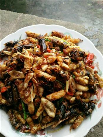辣爆蜂蛹怎么做，辣爆蜂蛹怎么做好吃，辣爆蜂蛹做法