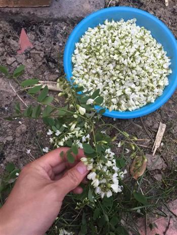 煎槐花饼怎么做，煎槐花饼怎么做好吃，煎槐花饼做法