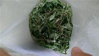 北方宁夏艾草吃法-蒸艾怎么做，北方宁夏艾草吃法-蒸艾怎么做好吃，北方宁夏艾草吃法-蒸艾做法