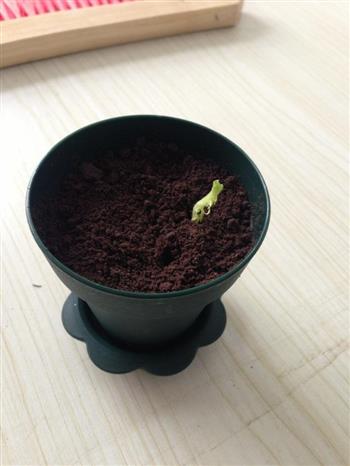 一粒麦种的生命怎么做，一粒麦种的生命怎么做好吃，一粒麦种的生命做法