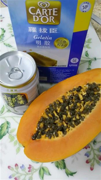 椰汁木瓜果冻怎么做，椰汁木瓜果冻怎么做好吃，椰汁木瓜果冻做法