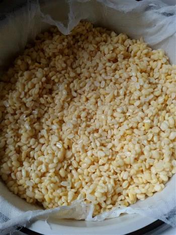 绿豆玫瑰花糕怎么做，绿豆玫瑰花糕怎么做好吃，绿豆玫瑰花糕做法
