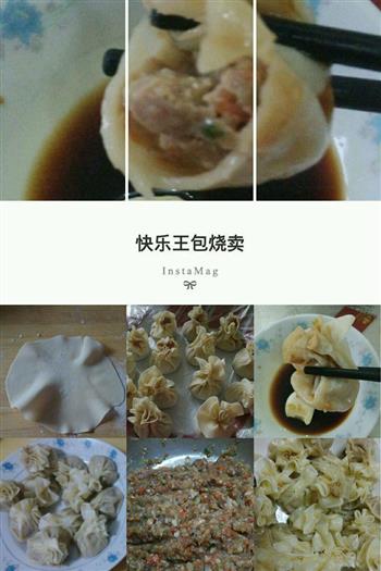 牛肉洋葱烧卖怎么做，牛肉洋葱烧卖怎么做好吃，牛肉洋葱烧卖做法
