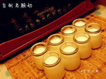 无添加剂-自制老酸奶怎么做，无添加剂-自制老酸奶怎么做好吃，无添加剂-自制老酸奶做法