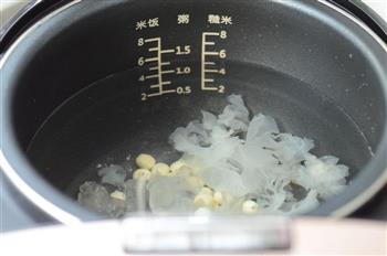 冰糖银耳莲子粥怎么做，冰糖银耳莲子粥怎么做好吃，冰糖银耳莲子粥做法