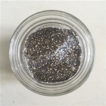 奇亚籽抹茶布丁&草莓芭菲怎么做，奇亚籽抹茶布丁&草莓芭菲怎么做好吃，奇亚籽抹茶布丁&草莓芭菲做法