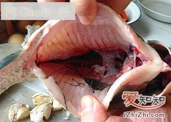 家常菜谱-红烧鳊鱼怎么做，家常菜谱-红烧鳊鱼怎么做好吃，家常菜谱-红烧鳊鱼做法