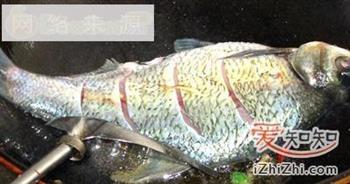 家常菜谱-红烧鳊鱼怎么做，家常菜谱-红烧鳊鱼怎么做好吃，家常菜谱-红烧鳊鱼做法