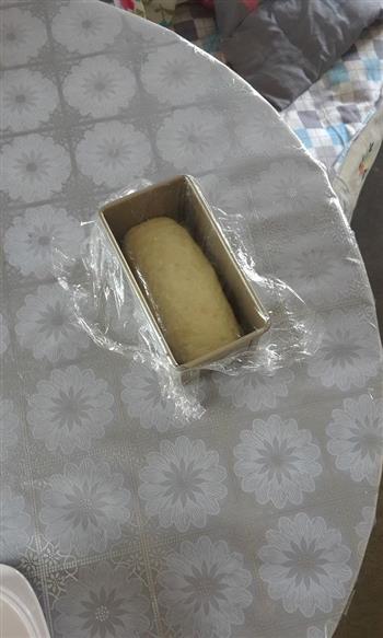 双色蜜豆吐司怎么做，双色蜜豆吐司怎么做好吃，双色蜜豆吐司做法