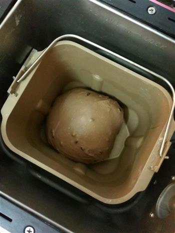 红豆沙肉松可可面包怎么做，红豆沙肉松可可面包怎么做好吃，红豆沙肉松可可面包做法