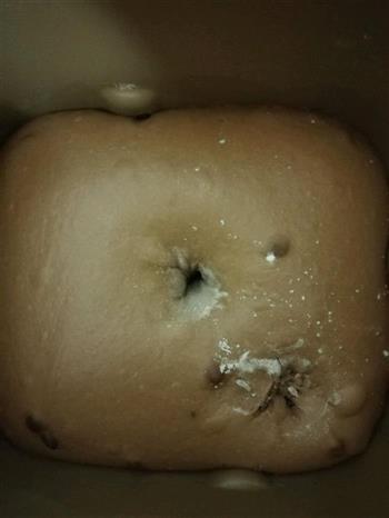 红豆沙肉松可可面包怎么做，红豆沙肉松可可面包怎么做好吃，红豆沙肉松可可面包做法