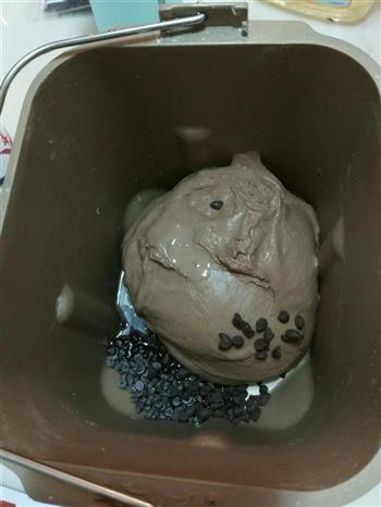 红豆沙肉松可可面包怎么做，红豆沙肉松可可面包怎么做好吃，红豆沙肉松可可面包做法