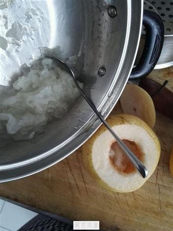 冰糖银耳蒸雪梨怎么做，冰糖银耳蒸雪梨怎么做好吃，冰糖银耳蒸雪梨做法