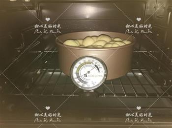 Poolish种圆吐司伪蛋糕怎么做，Poolish种圆吐司伪蛋糕怎么做好吃，Poolish种圆吐司伪蛋糕做法