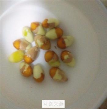 白果炖鸡汤怎么做，白果炖鸡汤怎么做好吃，白果炖鸡汤做法