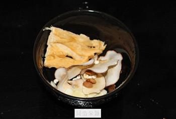 海底椰双杏川贝母汤怎么做，海底椰双杏川贝母汤怎么做好吃，海底椰双杏川贝母汤做法